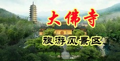 我要看操大肥逼免视频中国浙江-新昌大佛寺旅游风景区